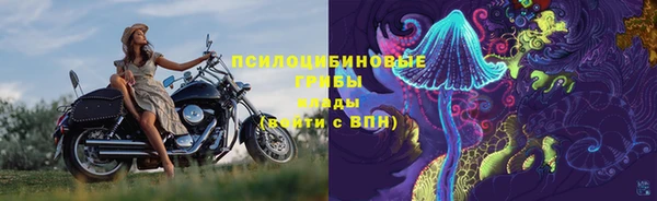 ГАЛЛЮЦИНОГЕННЫЕ ГРИБЫ Кодинск