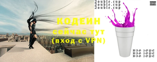 ГАЛЛЮЦИНОГЕННЫЕ ГРИБЫ Кодинск