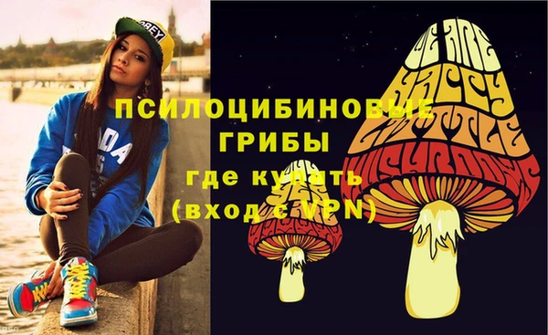 ПСИЛОЦИБИНОВЫЕ ГРИБЫ Козельск