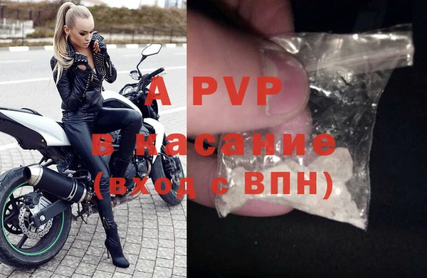 ПСИЛОЦИБИНОВЫЕ ГРИБЫ Козельск