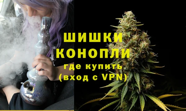 ГАЛЛЮЦИНОГЕННЫЕ ГРИБЫ Кодинск