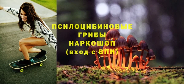 spice Киренск